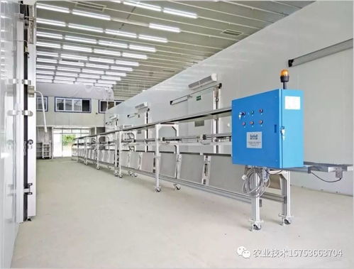 蔬菜工廠化生產 科技時代下的農業變革與科技中介服務