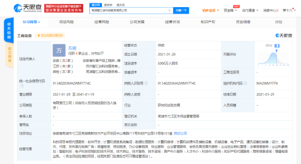 科大訊飛蕪湖新公司成立 業務版圖跨界房產與科技中介
